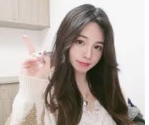 服务内容